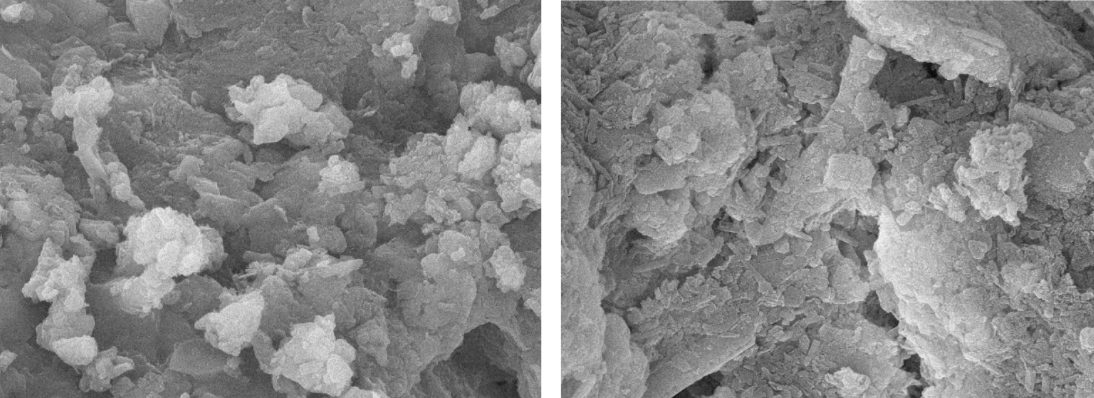 Banner for the article